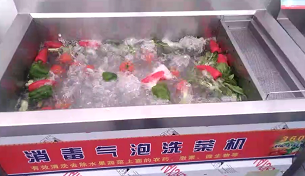 消毒氣泡洗菜機